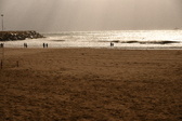 Enlarge photo 356