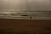 Enlarge photo 372