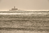 Enlarge photo 375