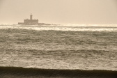 Enlarge photo 378