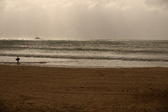 Enlarge photo 380