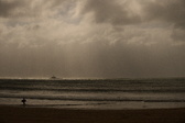 Enlarge photo 381