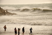 Enlarge photo 385