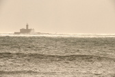 Enlarge photo 387