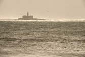 Enlarge photo 390