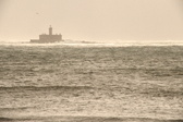 Enlarge photo 391