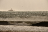 Enlarge photo 398