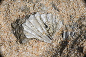 Enlarge photo 36