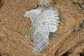 Enlarge photo 44