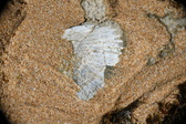 Enlarge photo 45