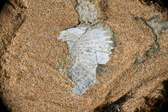 Enlarge photo 46