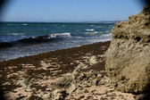Enlarge photo 47