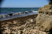 Enlarge photo 48