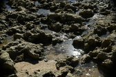 Enlarge photo 51