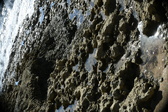 Enlarge photo 52