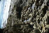 Enlarge photo 53