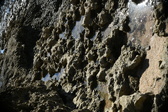 Enlarge photo 55