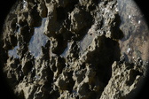 Enlarge photo 57