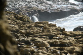 Enlarge photo 59
