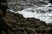 Enlarge photo 60