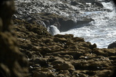 Enlarge photo 61