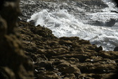 Enlarge photo 62