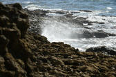 Enlarge photo 63