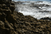 Enlarge photo 64