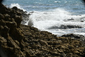 Enlarge photo 71