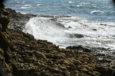 Enlarge photo 75