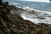 Enlarge photo 78