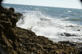 Enlarge photo 82