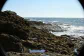 Enlarge photo 84
