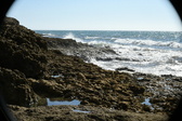 Enlarge photo 91