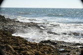 Enlarge photo 96