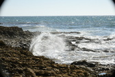 Enlarge photo 97