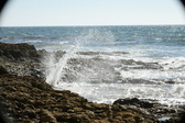 Enlarge photo 98