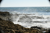 Enlarge photo 99