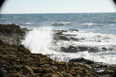 Enlarge photo 103