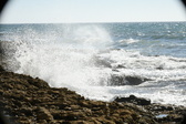 Enlarge photo 105