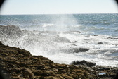Enlarge photo 107