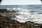 Enlarge photo 109