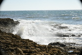 Enlarge photo 110