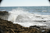 Enlarge photo 111