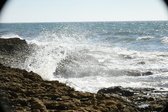 Enlarge photo 112