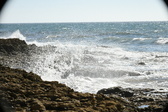 Enlarge photo 113