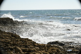 Enlarge photo 114