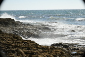 Enlarge photo 115