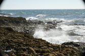 Enlarge photo 116