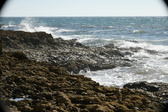Enlarge photo 119